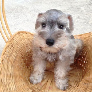 Meet your Posher, Michelle